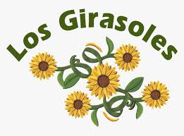 Unduh gratis berbagai kategori gambar bunga & alam menakjubkan. Los Girasoles Mexican Restaurant Custom Bunga Matahari Hd Png Download Kindpng