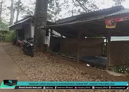 Dan untuk pengunjung dari luar kota yang belum pernah datang ke pati, dan tidak tahu letak waduk ini tidak perlu khawatir, karena letaknya tidak rumit. Tanggapi Video Asusila Di Gunungrowo Dewan Pati Jangan Terulang Lagi Mitrapost Com
