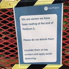 Funny birthday texts we thought we would get the right amount of candles to put on your cake this year, but quickly ran out of space. Funny Sign Features Funny Sign Friday Woodland Manufacturing