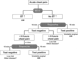 Other causes include anemia, abnormal heart rhythms, and heart failure. A Classification Of Unstable Angina Revisited Circulation