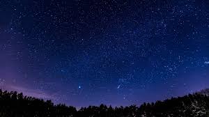 panoramic night sky stars forest