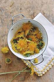 Appalachian Charm Dandelion Dandelion Salad Dandelion Wish