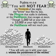 Psalms 91 Protection From Plague And Pestilence For The Obedient Psalms God The Father Bible Truth
