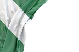 Flag Of Nigeria Nigeria Flag Nigerian Flag Flag