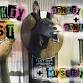 Donkey Fest ‘24: Donkey Island + Donkey Okay + (Mystery Guest)