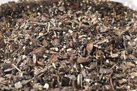 Tweet on twitter share on facebook pinterest. Bonsai Soil Shelf Life Bonsai Outlet