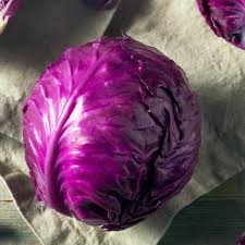 Rotkohl lagern: Wie und wo hält er am längsten? - Mein schöner Garten