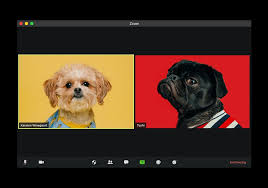 Make.invideo.io has been visited by 10k+ users in the past month Using Video Background On Zoom Online File Conversion Blog