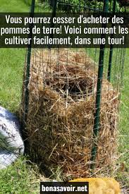 Vous Pourrez Cesser D Acheter Des Pommes De Terre Voici Comment Les Cultiver Facilement In 2020 Potager Garden Beautiful Gardens Growing Potatoes