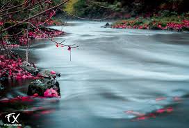 Article Collaboratif 1 Vos Petits Coins De Paradis En Picardie Les Cascades Lieux A Visiter Lieux