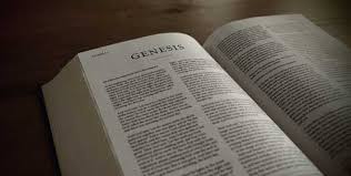 Genesis 1 11 Y El Trabajo Comentario Biblico Proyecto Teologia Del Trabajo genesis 1 11 y el trabajo comentario
