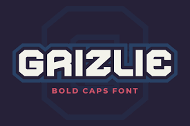 Looking for logo esport fonts? Grizlie Font In Fonts On Yellow Images Creative Store