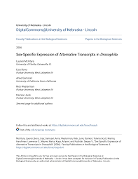 Sex-Specific Expression of Alternative Transcripts in Drosophila
