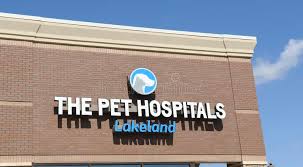 Our staff treats your pets as if they are our own, for all your veterinary medicine needs. Lakeland Tn Photos Free Royalty Free Stock Photos From Dreamstime