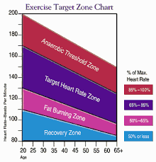 65 Hand Picked Aerobic Heart Rate Zone Chart