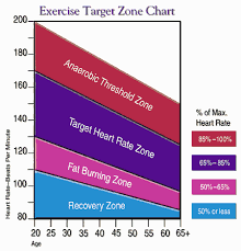 65 hand picked aerobic heart rate zone chart