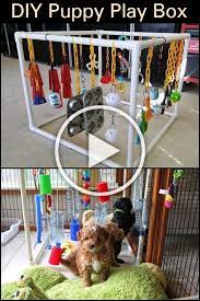 Involve The Whole Family In Making This Diy Puppy Play Box Diy Dog Stuff Puppy Pens Whelping Puppies