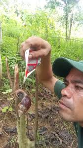 Good day everyone....does anyone know what causes this