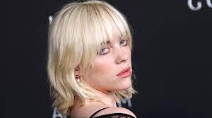 Porn star Randy Spears praises Billie Eilish for adult film comments |  news.com.au — Australia's leading news site