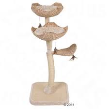 Browse and download the most beautiful flower pictures. Kratzbaum Cat S Flower Gunstig Kaufen Zooplus