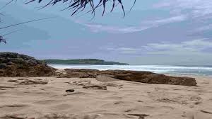 Pantai Molang terletak di Desa Pucanglapan, Kabupaten Tulungagung, dekat perbatasan Blitar, dan berdekatan dengan Pantai Pacar serta Pantai Pelang Trenggalek.