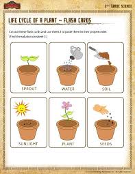 We did not find results for: Life Cycle Of A Plant Flash Cards Printable Science Worksheet For 2nd Grade Life Cycles Flower Life Cycle Preschool Life Cycles Preschool