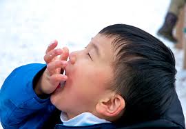 Bowen Island Undercurrent Photos