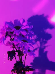 7 Purple Aesthetic Tumblr Purple Aesthetic Purple Wallpaper Iphone Aesthetic Pictures