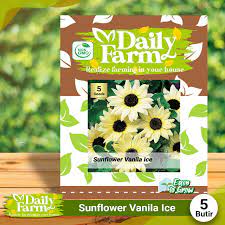 Bunga matahari adalah tanaman yang sangat indah dengan bagian tengah, yang disebut sebagai bunga tabung, bisa terdiri dari dua ribu kuntum bunga kecil.1 x teliti sumber banyak varietas umum. Df Benih Bunga Matahari Sunflower Vanilla Ice 5 Butir Biji Bunga Matahari Vanila Import Daily Farm Lazada Indonesia