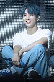 pin by 薇如 蘇 on joshua hong in 2020 joshua seventeen jisoo seventeen seventeen kpop