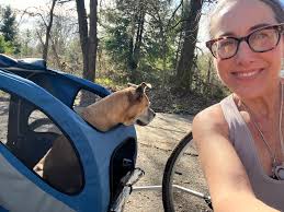 What are cheap ground covering options for clay soil?