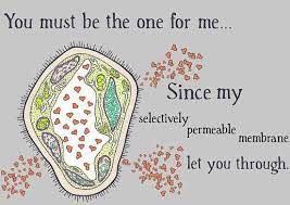 Biology Humor Biology Jokes Science Puns Biology Valentines
