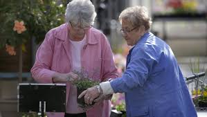 The cutting garden is a full service floral design studio specializing in weddings and events. The Buzz Getting The Greens