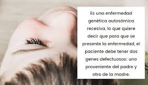 This may affect the functioning of the heart, bladder, intestines, sweat glands, pupils, and blood vessels. Disautonomia Familiar Extrano Caso De Insensibilidad Al Dolor