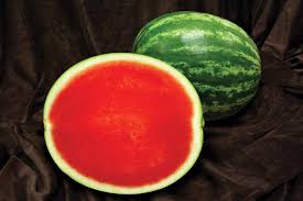 10 Top Performing Watermelon Varieties Growing Produce