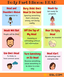Head Idioms 10 Useful Head Idioms And Phrases Idioms And Phrases English Idioms Idioms