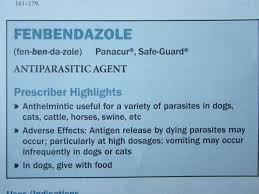 The guidelines are panacur c is safe for use in only dogs. What Is The Dosage For Fenbendazole Page 4 Backyard Chickens Learn How To Raise Chickens