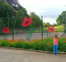 Epingle Par Laura Williams Sur Just Poppies Jour Du Souvenir Deco Jardin Jardinage De Fee
