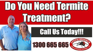 Rentokil pest control near you, effectively exterminate birds, rats, mice, bed bugs, cockroaches, and other pests across ireland. Pest Control Brisbane Termite Treatment Brisbane Cost Termite Treatment Near Me Youtube