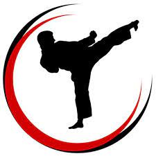 What should the logo for hedland taekwondo be? Taekwondo Kick Logos