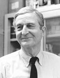 The Kennedy Pathway for Phospholipid Synthesis: the Work of Eugene Kennedy 