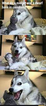 Pin By Brett Pierson On Lol Funny Dog Jokes Funny Animal Jokes Animal Jokes