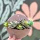Wall Planter Clay Hand Building Class
