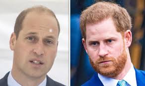 El príncipe harry consiguió empleo. Principe Harry E Principe William Tem Poucas Chances De Curar Fenda Pos Megxit Royal Noticia Celebrity Land Brasil