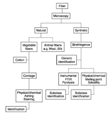 Identification And Comparison