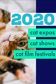 Kansas city zoo is always a new adventure. 2020 Cat Conventions Expos Film Festivals And Major Cat Shows Cattipper