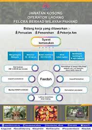 The cambridge learner's dictionary is perfect for intermediate learners. Jawatan Kosong Pekerja Am Ladang Felcra Jpkk Payang Kayu Facebook