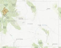 Image result for Megalochlamys