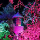 Shuttleworth in Lights event image