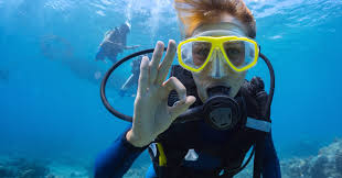 Bahamas Scuba Diving Guide To The Best Diving In The Caribbean